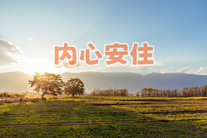 《思想的阶梯》 第一季第三册《知道vs问道》（细雨问答）