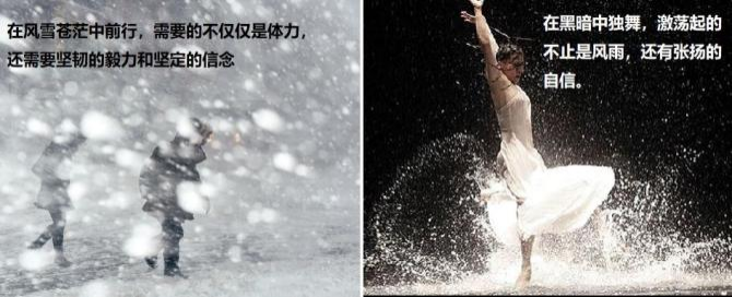 《已知的实相VII》第2册（290-300）-自我预言的实现（共5册）-细雨早期课译本现代汉语版-细雨赛斯书系列（细雨社译本）摘录