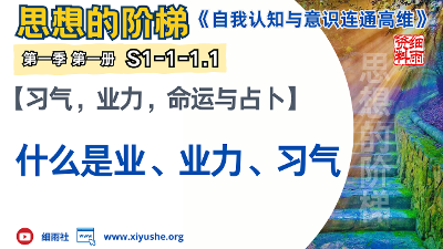《思想的阶梯》 第一季第一册《自我认知与意识连通高维》（专题长文）